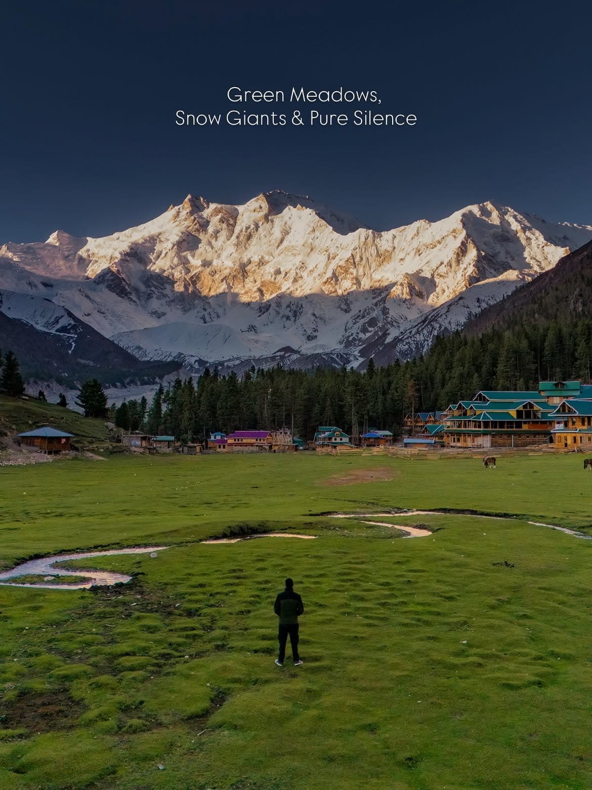 Fairy Meadows — Diamer, Gilgit-Baltistan