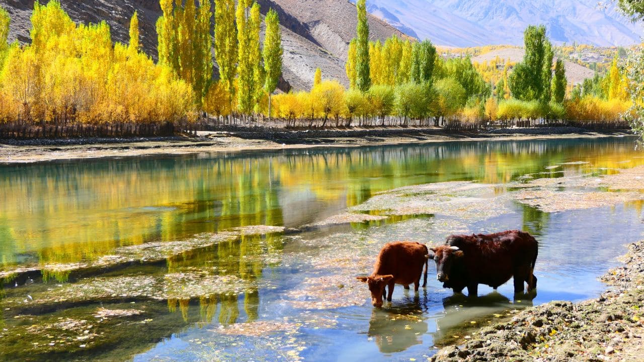 Phander Valley featured 5