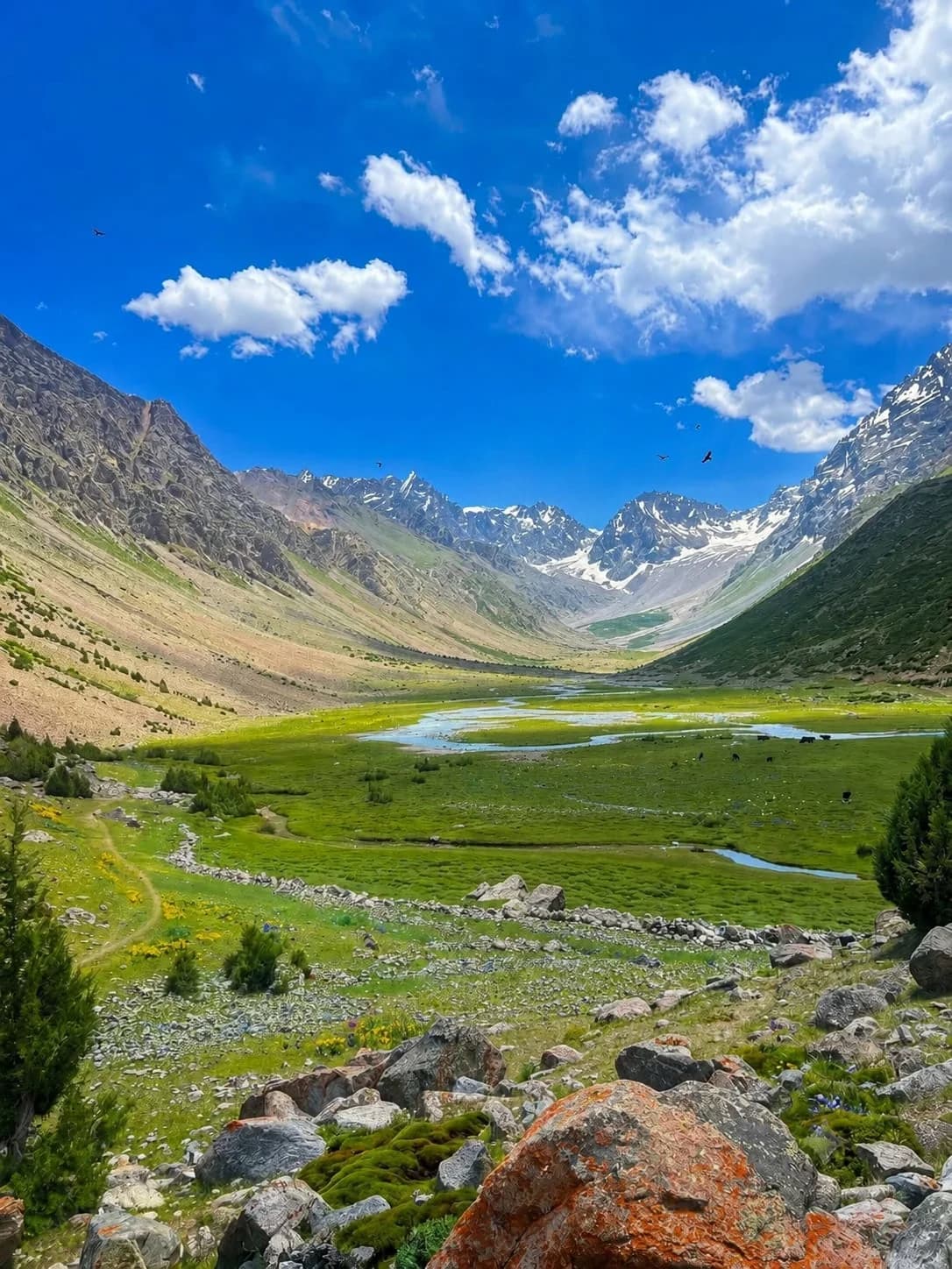 Rainbow Mountain (Qurqulti Valley) featured 7
