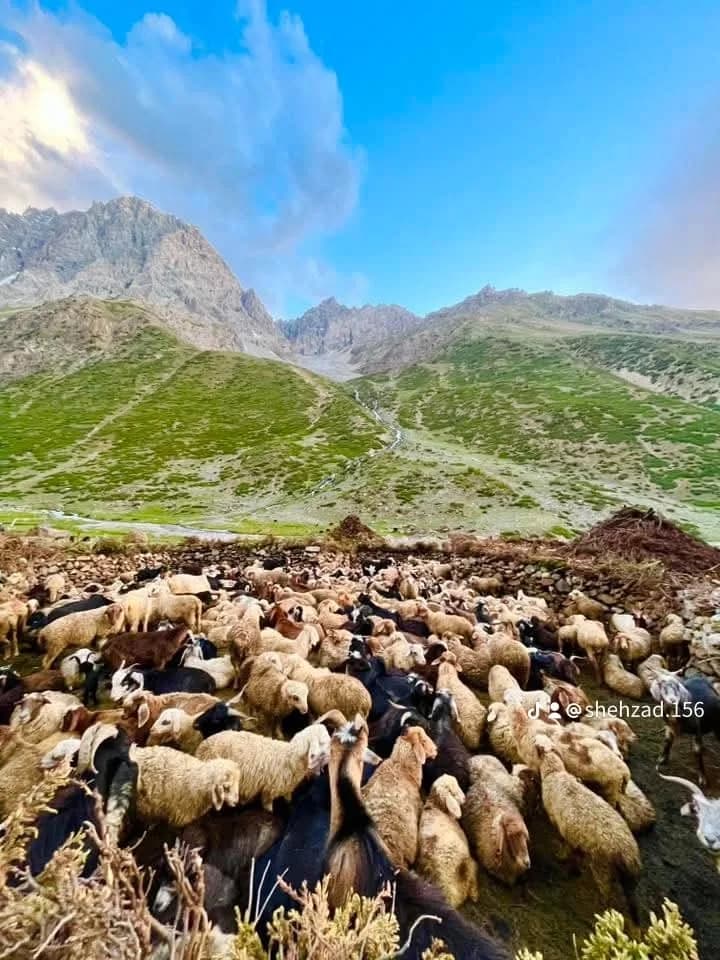Rainbow Mountain (Qurqulti Valley) featured 4