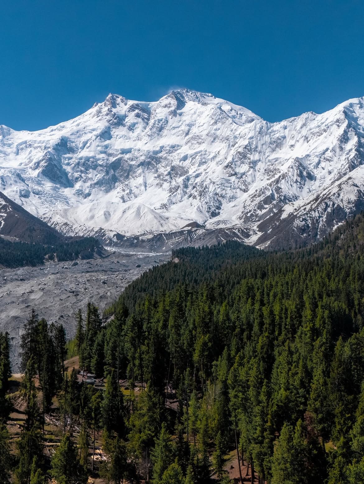 Fairy Meadows featured 2