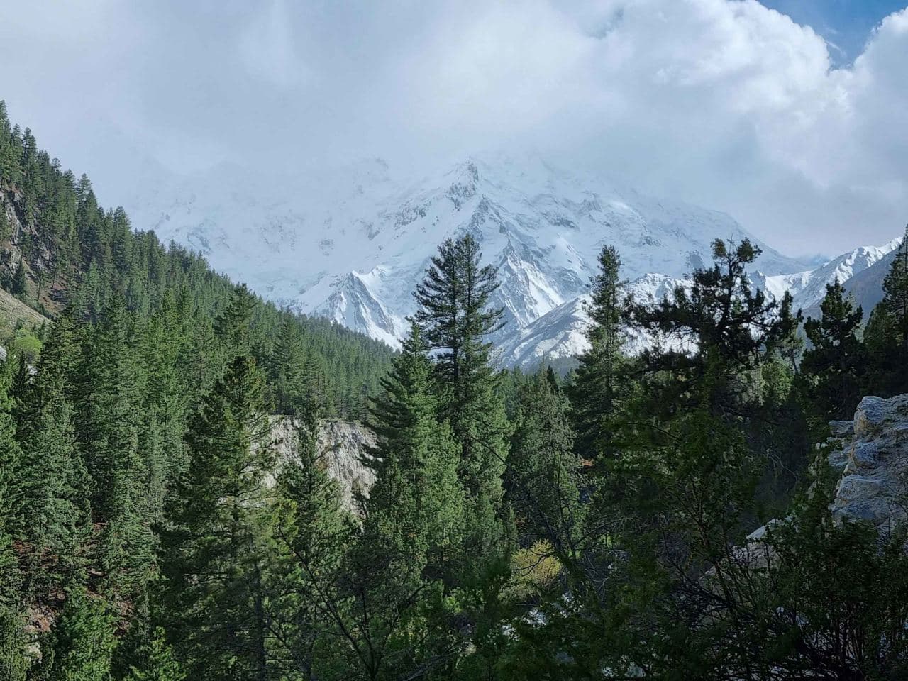 Fairy Meadows featured 3