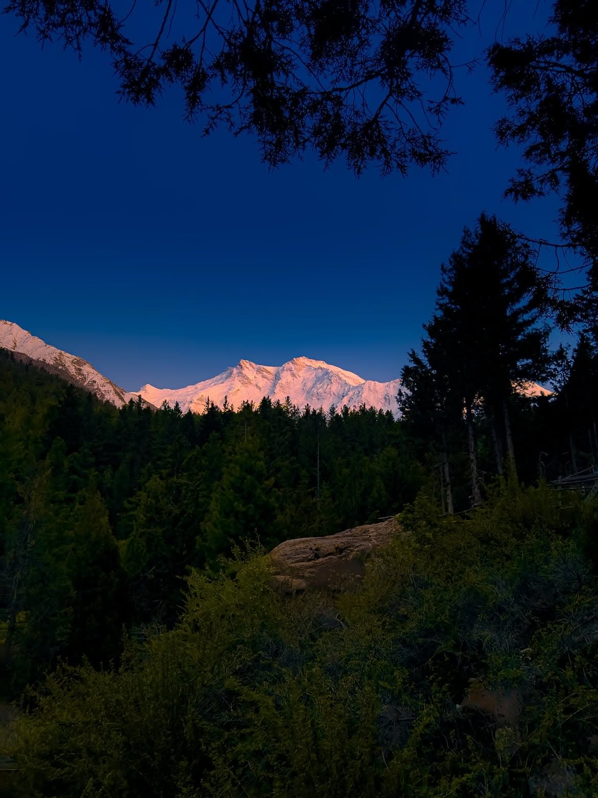 Fairy Meadows featured 7