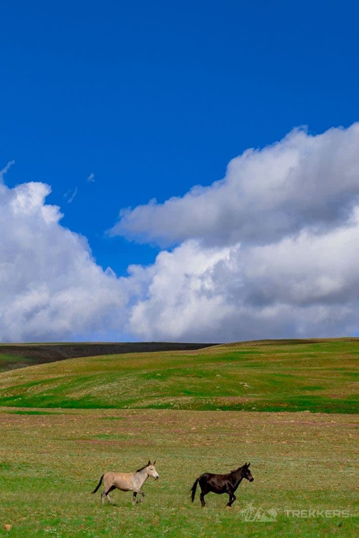 Deosai National Park featured 5