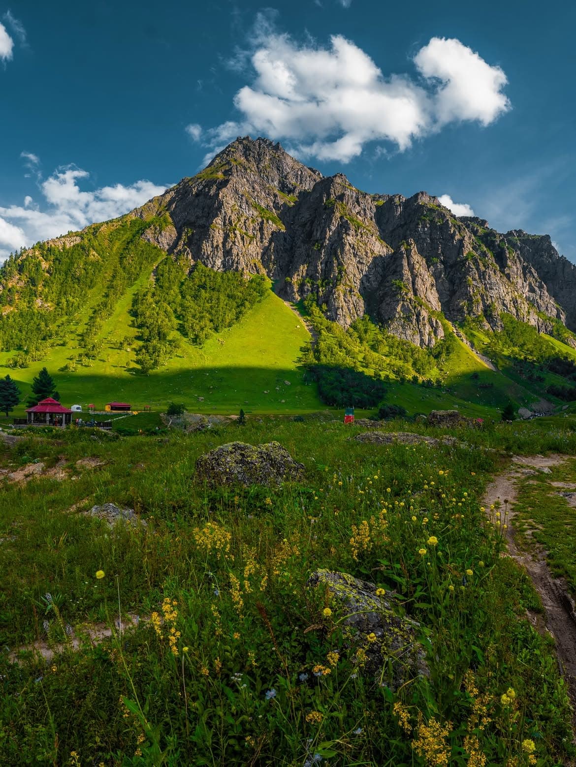 Minimarg featured 4