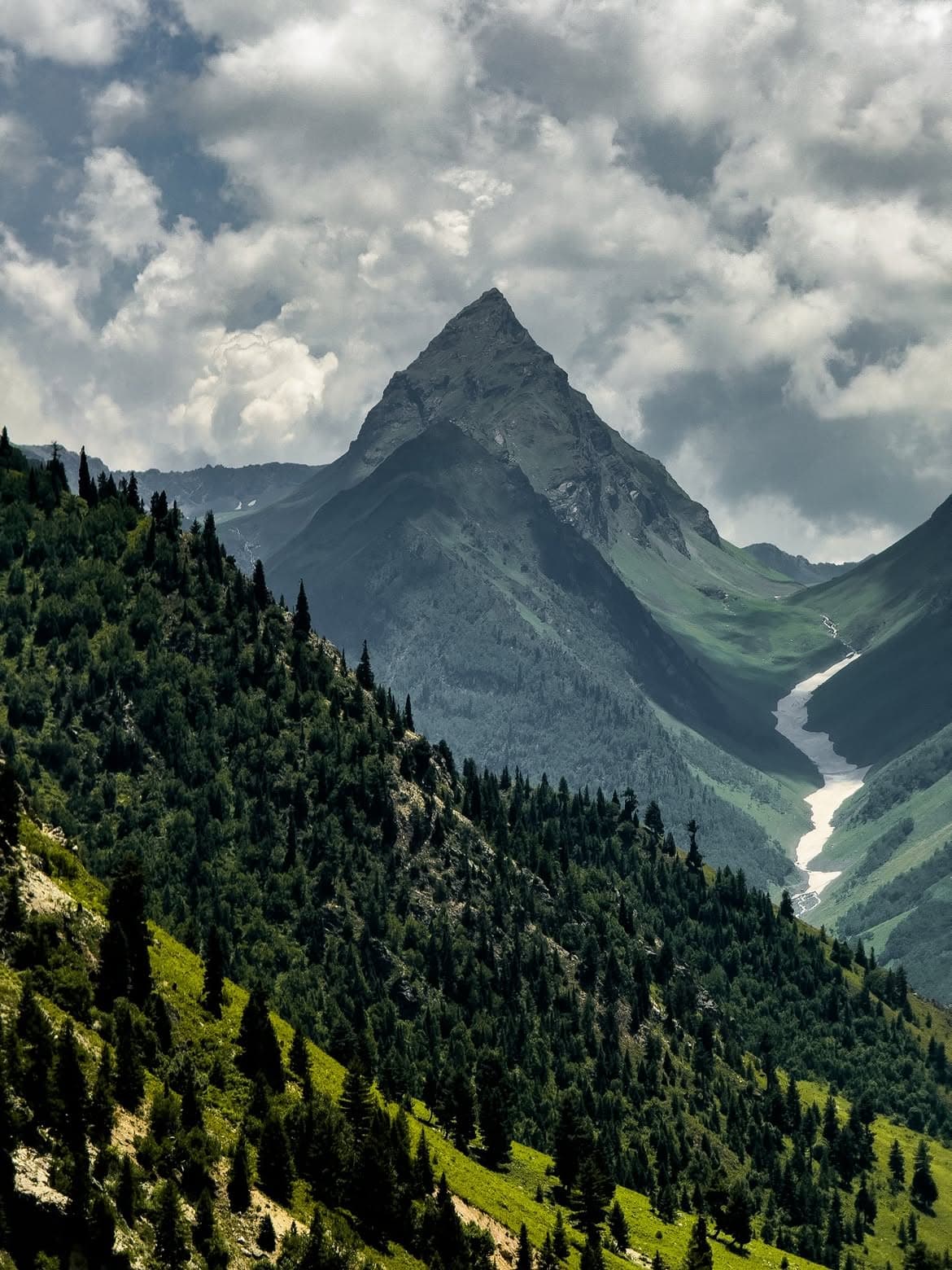 Minimarg featured 5
