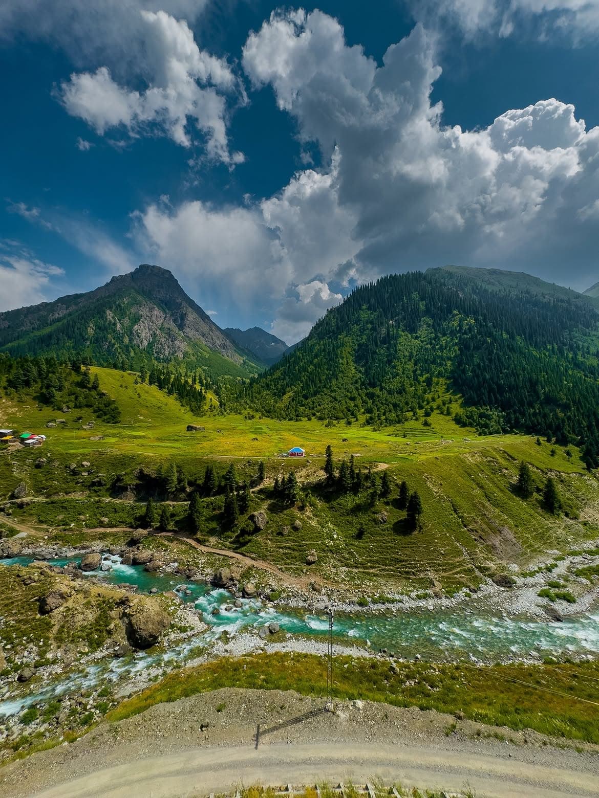 Minimarg featured 8