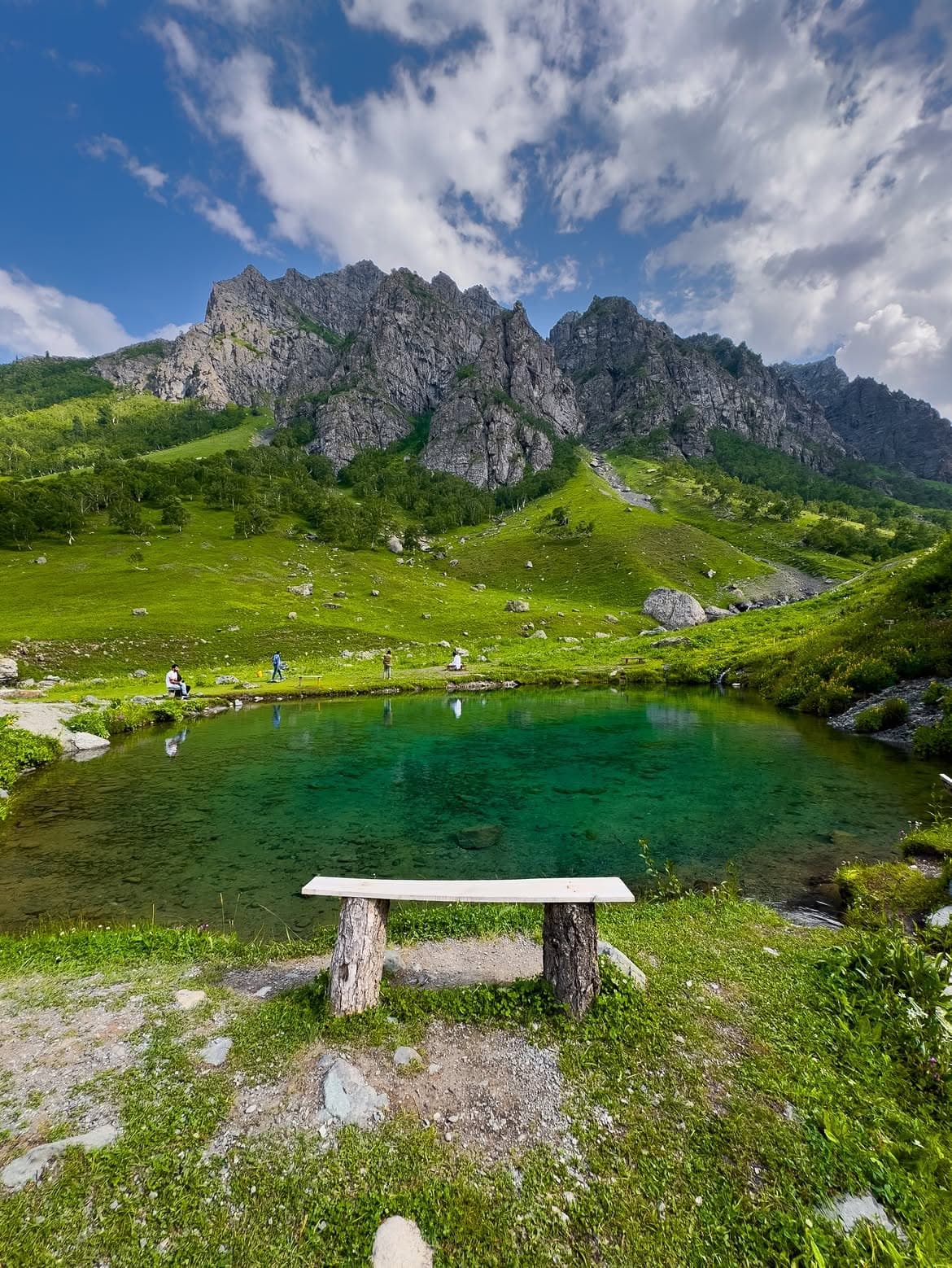 Minimarg featured 9